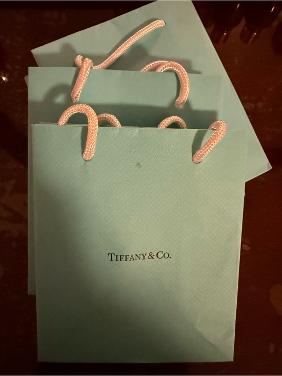 Tiffany & Co. Jewelry - Tiffany & Co. Robin's-Egg Blue Gift Bag with White Rope Handles